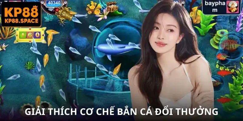 ban-ca-doi-thuong-the-cao-tim-hieu